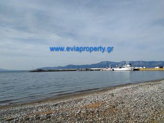 Οικόπεδο 420 τ.μ. για πώληση, Εύβοια, Αρτεμίσιο-thumb-2