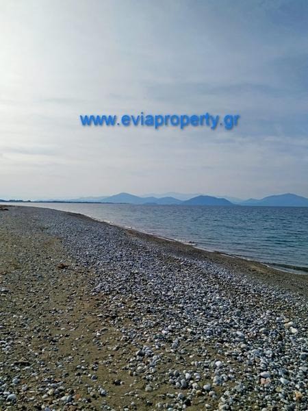 Οικόπεδο 420 τ.μ. προς πώληση, Πεύκη Αρτεμισίου
