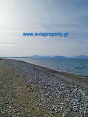 Οικόπεδο 420 τ.μ. για πώληση, Εύβοια, Αρτεμίσιο-thumb-3
