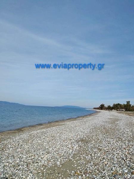 Οικόπεδο 420 τ.μ. προς πώληση, Πεύκη Αρτεμισίου