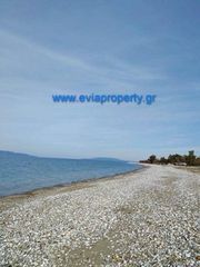 Οικόπεδο 420 τ.μ. για πώληση, Εύβοια, Αρτεμίσιο-thumb-4