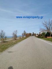 Οικόπεδο 420 τ.μ. για πώληση, Εύβοια, Αρτεμίσιο-thumb-6