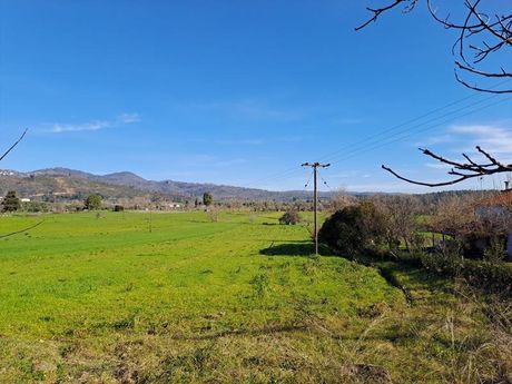 Land plot 1.000sqm for sale-Limni » Damia