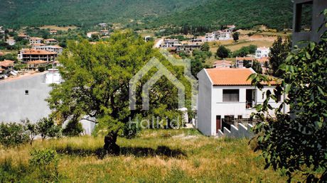 Οικόπεδο 409τ.μ. για πώληση-Πολύγυρος » Κέντρο