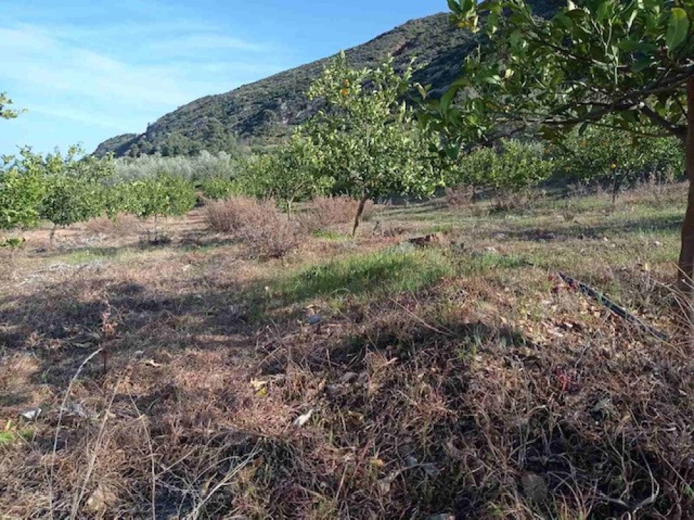Αγροτεμάχια 3.500 τ.μ. πρός πώληση, Κορινθία, Ξυλόκαστρο
