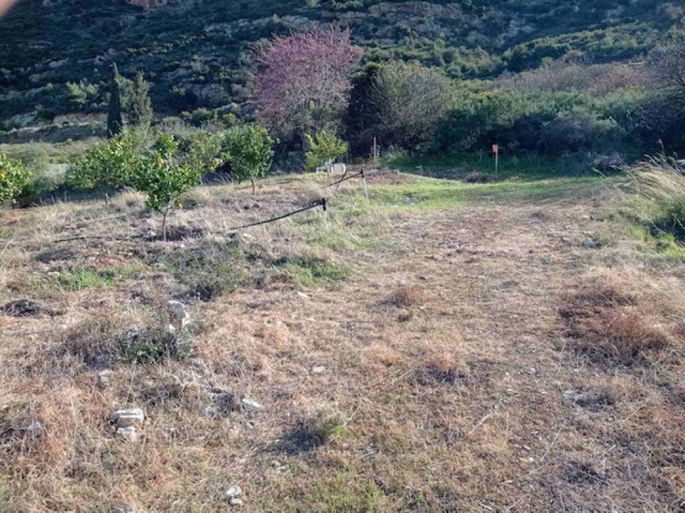 Αγροτεμάχια 3.500 τ.μ. πρός πώληση, Κορινθία, Ξυλόκαστρο