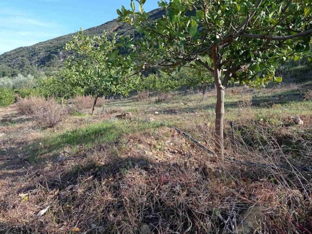 Αγροτεμάχια 3.500 τ.μ. πρός πώληση, Κορινθία, Ξυλόκαστρο