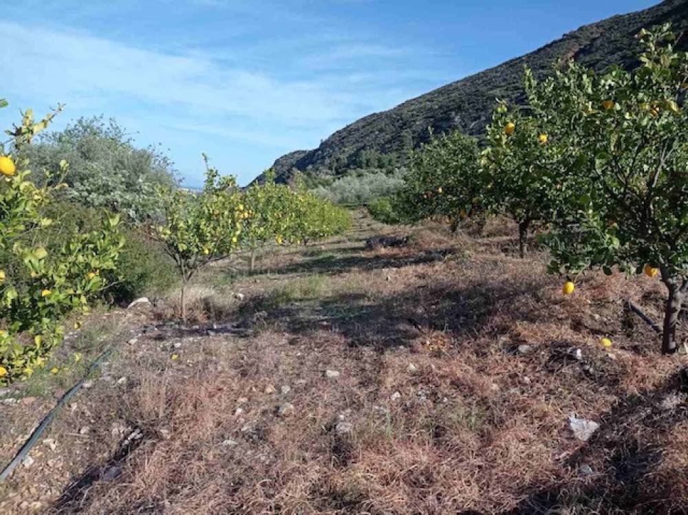 Αγροτεμάχια 3.500 τ.μ. πρός πώληση, Κορινθία, Ξυλόκαστρο