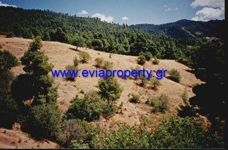 Land plot 8.833sqm for sale-Limni » Marouli