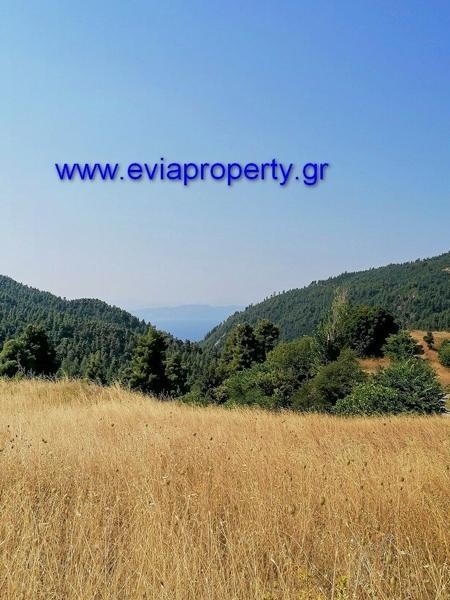 Οικόπεδο 8.833 τ.μ. προς πώληση, Μαρούλι