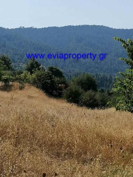 Οικόπεδο 8.833 τ.μ. προς πώληση, Μαρούλι