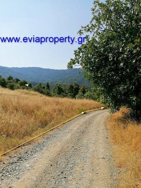 Οικόπεδο 8.833 τ.μ. προς πώληση, Μαρούλι