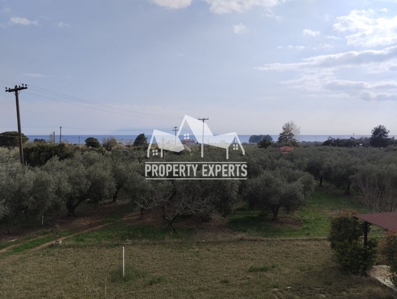 Μονοκατοικία 78 τ.μ. προς ενοικίαση, Δίκελλα