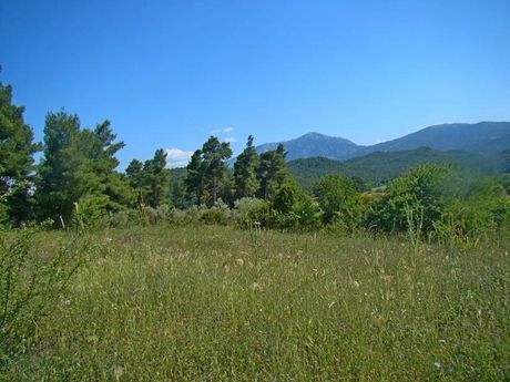 Land plot 4.000sqm for sale-Kirea » Strofilia