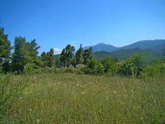 Οικόπεδο 4.000 τ.μ. για πώληση, Εύβοια, Κηρέα