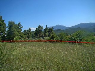 Οικόπεδο 4.000 τ.μ. προς πώληση, Στροφυλιά-thumb-1