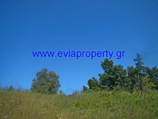 Οικόπεδο 4.000 τ.μ. προς πώληση, Στροφυλιά-thumb-4
