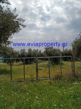 Land plot 17.629sqm for sale-Limni » Rovies