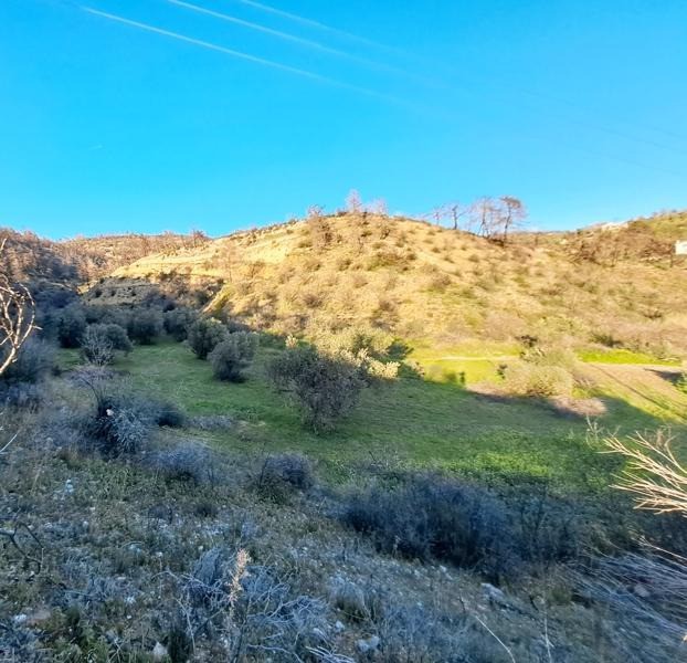 Οικόπεδο 7.720 τ.μ. προς πώληση, Σηπιάδα Λίμνης