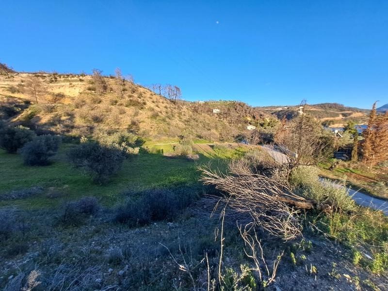 Οικόπεδο 7.720 τ.μ. προς πώληση, Σηπιάδα Λίμνης