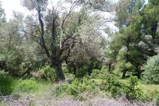 Οικόπεδο 4.847 τ.μ. για πώληση