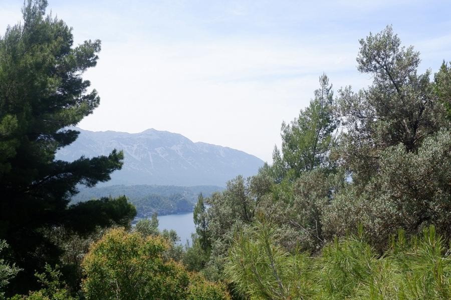 Οικόπεδο 4.847 τ.μ. προς πώληση, Βλαχιά