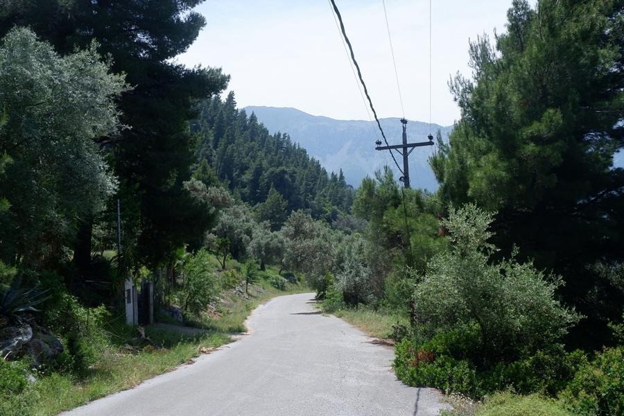 Οικόπεδο 4.847 τ.μ. προς πώληση, Βλαχιά