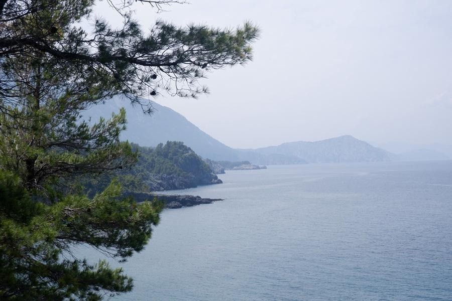 Οικόπεδο 4.847 τ.μ. προς πώληση, Βλαχιά