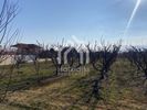 Parcel 5.400sqm for sale-Triglia » Nea Triglia