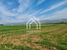 Parcel 15.000sqm for sale-Triglia » Nea Triglia