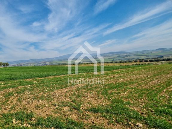Αγροτεμάχια 15.000 τ.μ. για πώληση, Χαλκιδική, Τριγλία