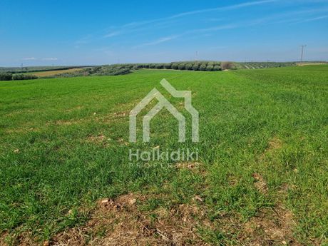 Αγροτεμάχια 20.000τ.μ. για πώληση-Τριγλία » Νέα τρίγλια