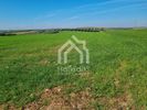 Parcel 20.000sqm for sale-Triglia » Nea Triglia