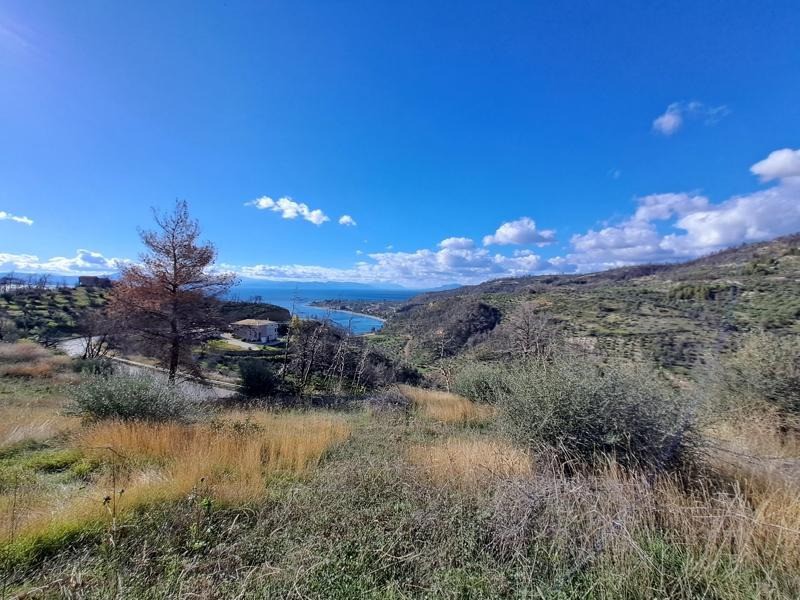 Οικόπεδο 4.697 τ.μ. προς πώληση, Κέντρο Λίμνης