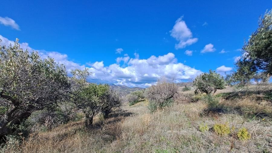 Οικόπεδο 4.697 τ.μ. προς πώληση, Κέντρο Λίμνης