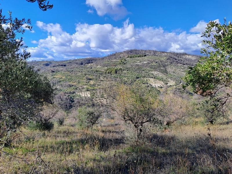 Οικόπεδο 4.697 τ.μ. προς πώληση, Κέντρο Λίμνης