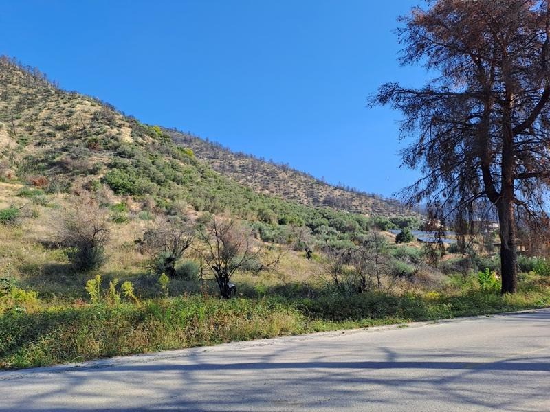 Οικόπεδο 3.143 τ.μ. προς πώληση, Ροβιές