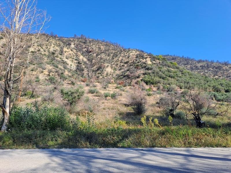 Οικόπεδο 3.143 τ.μ. προς πώληση, Ροβιές