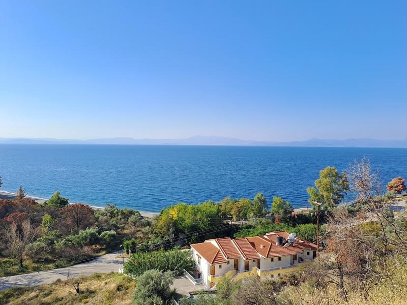 Οικόπεδο 3.143 τ.μ. προς πώληση, Ροβιές