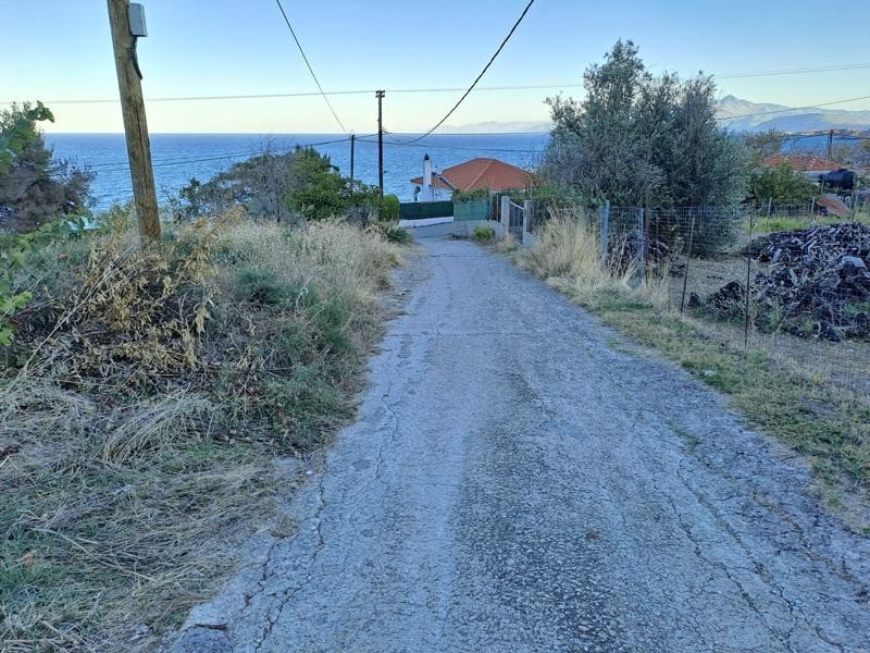 Οικόπεδο 327 τ.μ. προς πώληση, Αχλάδι Νηλέως