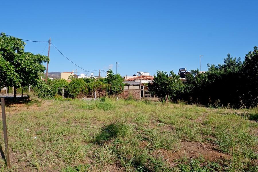 Οικόπεδο 594 τ.μ. προς πώληση, Ροβιές