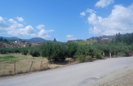 Land plot 8.000sqm for sale-Limni » Rovies