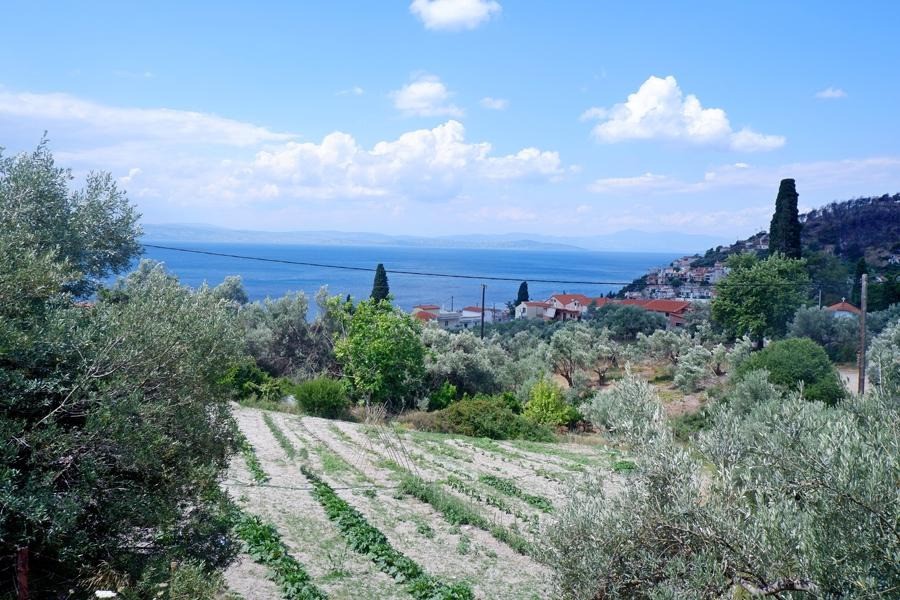 Οικόπεδο 1.314 τ.μ. προς πώληση, Κέντρο Λίμνης