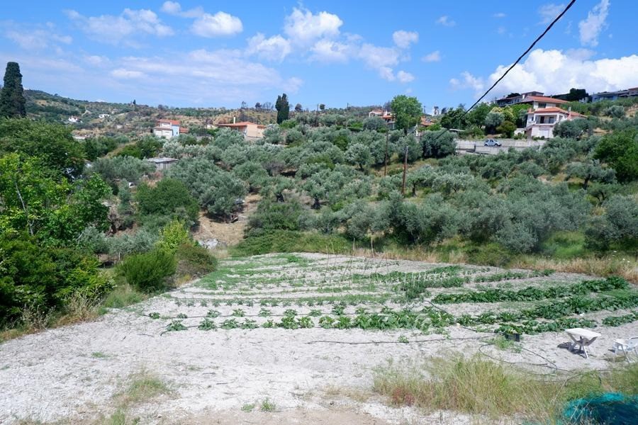 Οικόπεδο 1.314 τ.μ. προς πώληση, Κέντρο Λίμνης