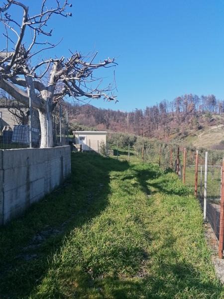 Οικόπεδο 220 τ.μ. προς πώληση, Σκεπαστή Λίμνης