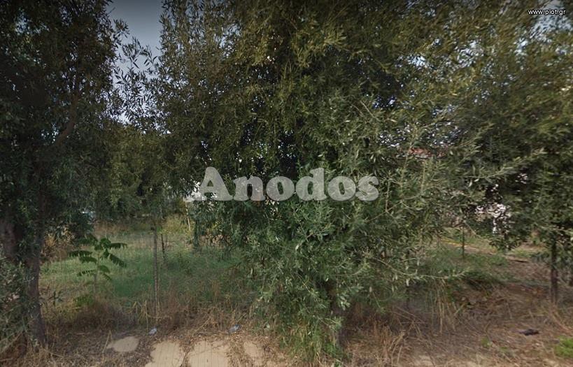 Οικόπεδο 2.500 τ.μ. προς ενοικίαση, Αθήνα - Δυτικά Προάστια, Μεταμόρφωση