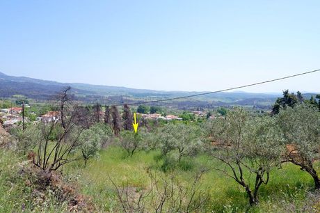 Land plot 4.000sqm for sale-Limni » Mirtias