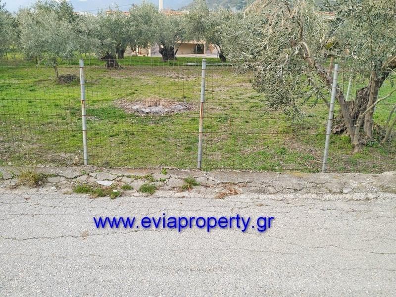 Οικόπεδο 300 τ.μ. προς πώληση, Ροβιές