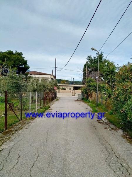 Οικόπεδο 300 τ.μ. προς πώληση, Ροβιές