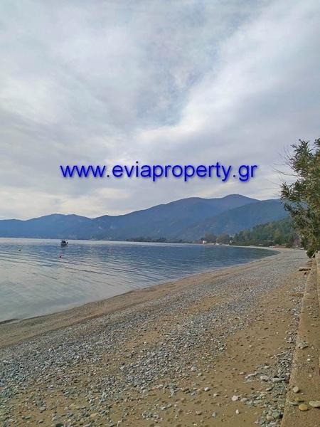 Οικόπεδο 300 τ.μ. προς πώληση, Ροβιές